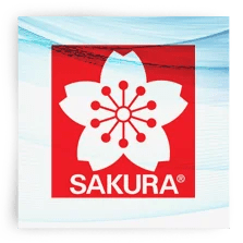 sakura.png