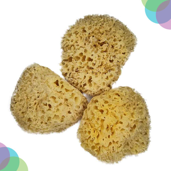 Art Sponge Natural Artist'S Fine Sea Sponges 3-3.5 Inch Pack Of 3 Art Sponge Natural Artist s Fine Sea Sponges 3 3.5 Inch Pack of 3