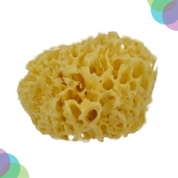 Art Sponge Natural Sea Sponge Coarse 4-4.5 Inch Art Sponge Natural Sea Sponge COARSE 4 4.5 Inch